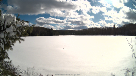 Image from 2025-03-07