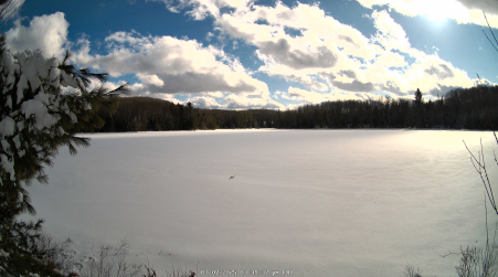 Image from 2025-03-07