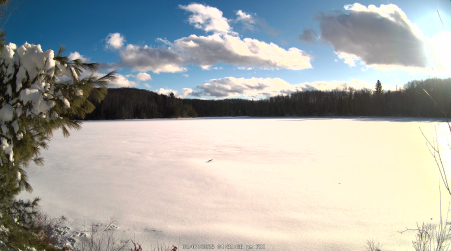 Image from 2025-03-07