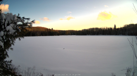 Image from 2025-03-07