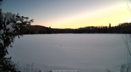 Image from 2025-03-07