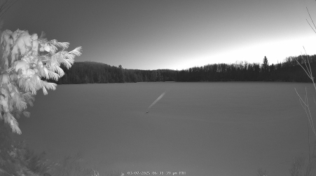 Image from 2025-03-07