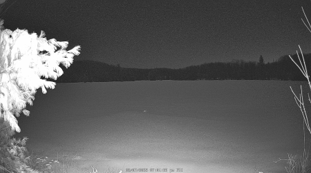 Image from 2025-03-07