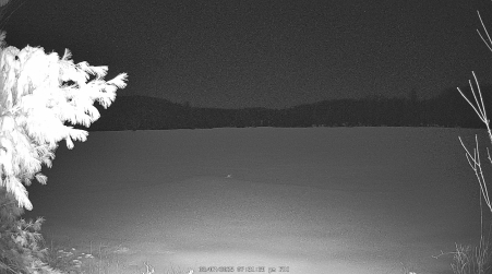 Image from 2025-03-07
