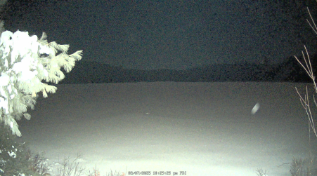Image from 2025-03-07