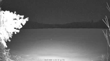 Image from 2025-03-07
