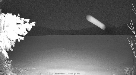 Image from 2025-03-07
