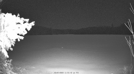 Image from 2025-03-07