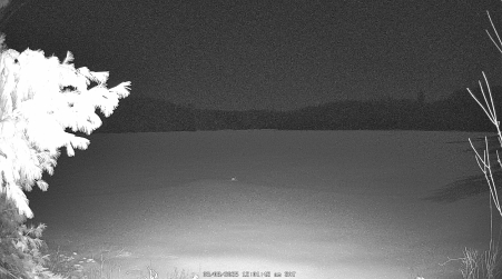 Image from 2025-03-08