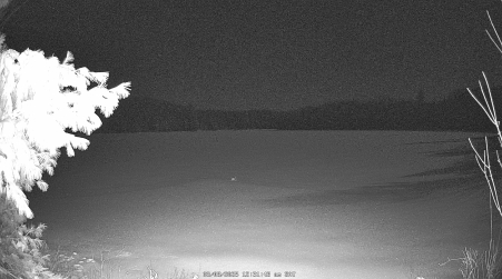 Image from 2025-03-08