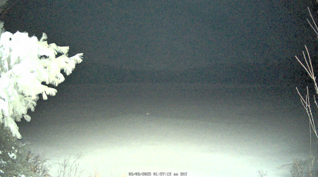 Image from 2025-03-08