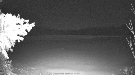 Image from 2025-03-08