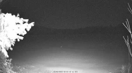 Image from 2025-03-08