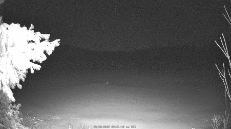 Image from 2025-03-08