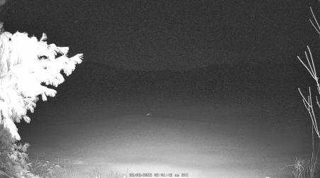 Image from 2025-03-08