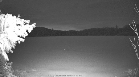 Image from 2025-03-08