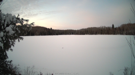 Image from 2025-03-08
