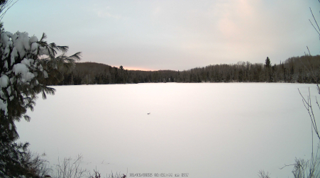 Image from 2025-03-08