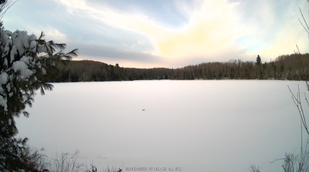 Image from 2025-03-08