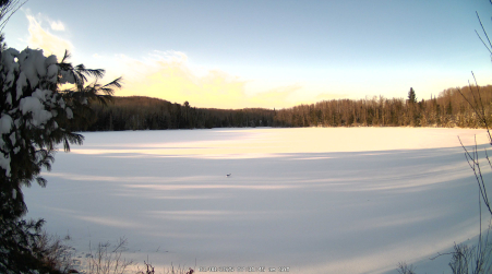 Image from 2025-03-08