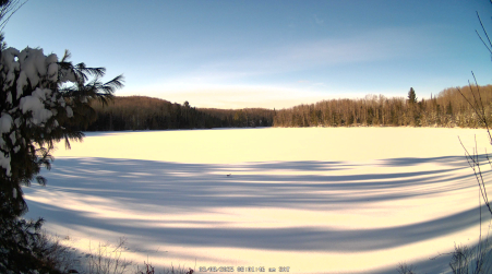 Image from 2025-03-08