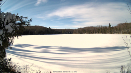 Image from 2025-03-08