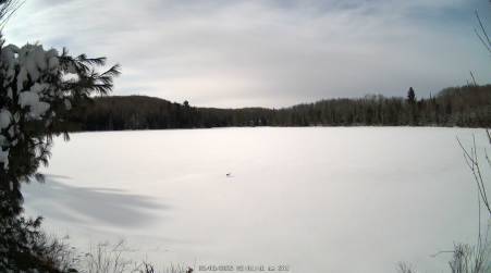 Image from 2025-03-08
