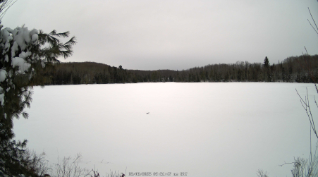 Image from 2025-03-08