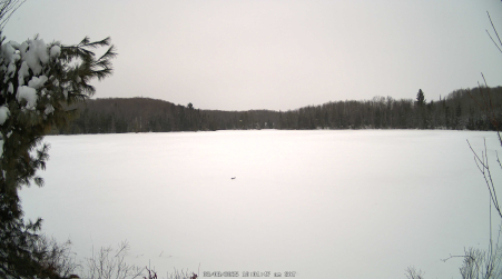Image from 2025-03-08