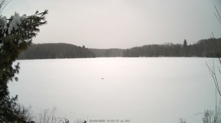 Image from 2025-03-08