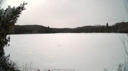 Image from 2025-03-08