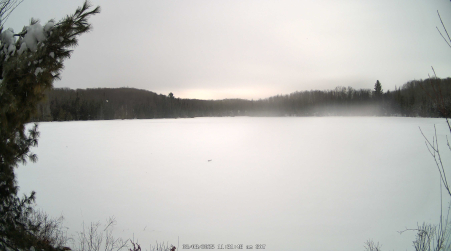 Image from 2025-03-08