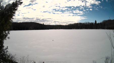 Image from 2025-03-08
