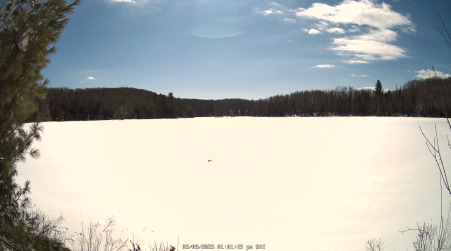 Image from 2025-03-08