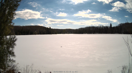 Image from 2025-03-08