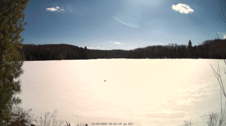 Image from 2025-03-08