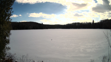 Image from 2025-03-08