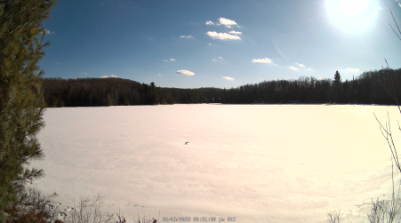 Image from 2025-03-08