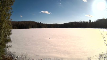 Image from 2025-03-08