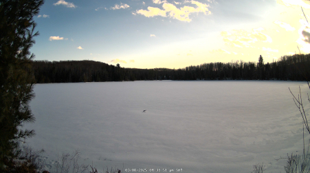 Image from 2025-03-08