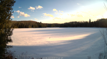 Image from 2025-03-08