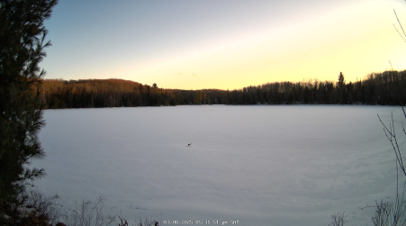 Image from 2025-03-08