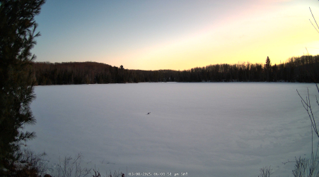 Image from 2025-03-08