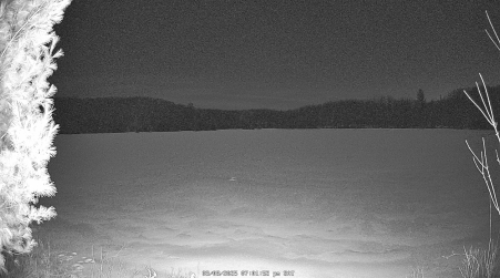 Image from 2025-03-08
