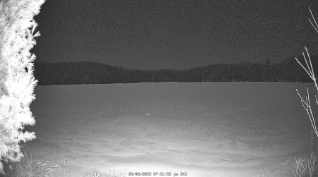 Image from 2025-03-08