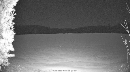 Image from 2025-03-08