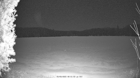 Image from 2025-03-08