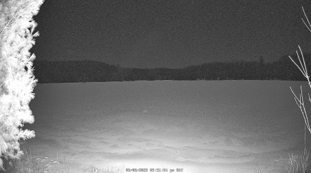 Image from 2025-03-08