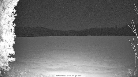 Image from 2025-03-08