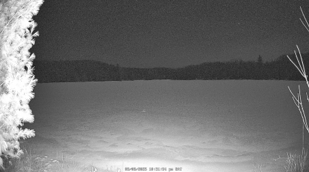Image from 2025-03-08